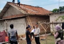 id12398_IMG_20251024_194942 (1)